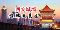 黑狗肏少妇逼抖中国陕西-西安城墙旅游风景区